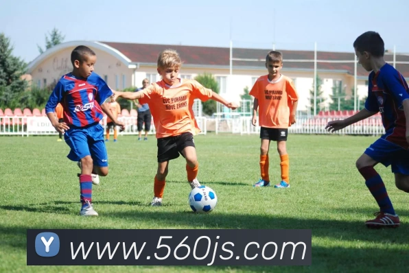 金沙国际官网平台生态图